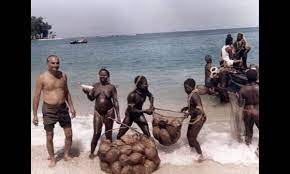 giving-food-to-sentinel-island-people